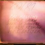 秋の終わりに聴きたくなる Every Day (I Thank You), 80/81 Pat Metheny