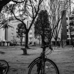 遅ればせながら映画Perfect Daysを観たらすごくよかった話